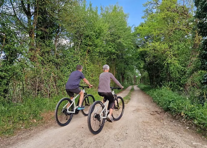 Allee Des Noyers 3* Saint-Michel-de-Bannieres